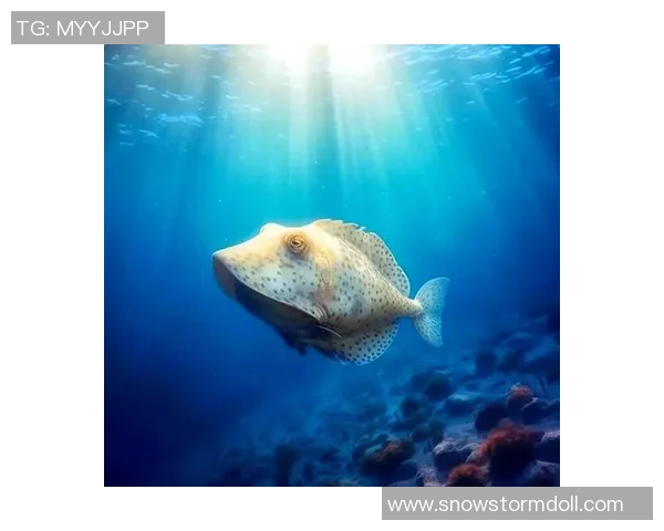 曼塔海豚与麦德林的奇妙邂逅探索海洋与城市的完美融合